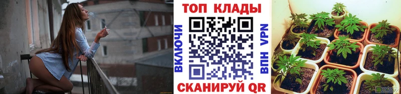 Где купить наркотики Кадников Кокаин Меф ГАШ Каннабис