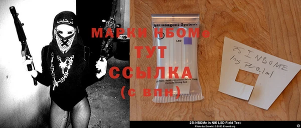 PSILOCYBIN Волосово