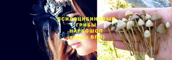 молекула духа Володарск