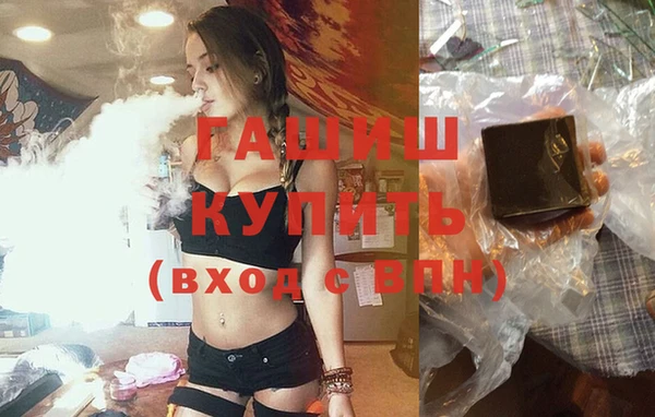 PSILOCYBIN Волосово