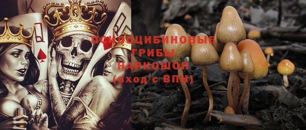 молекула духа Володарск