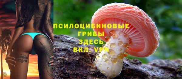 PSILOCYBIN Волосово