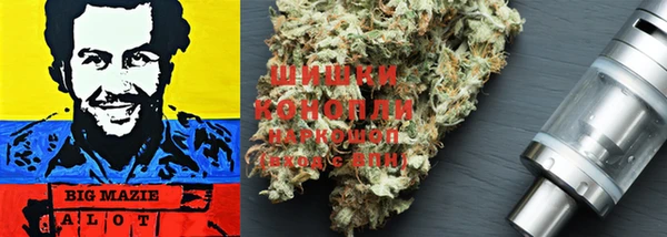 PSILOCYBIN Волосово