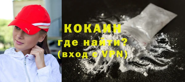 PSILOCYBIN Волосово