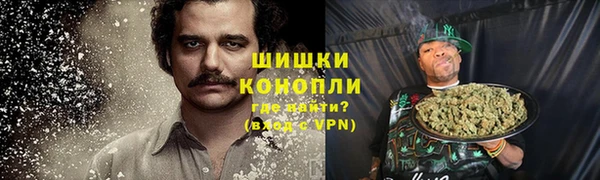 PSILOCYBIN Волосово
